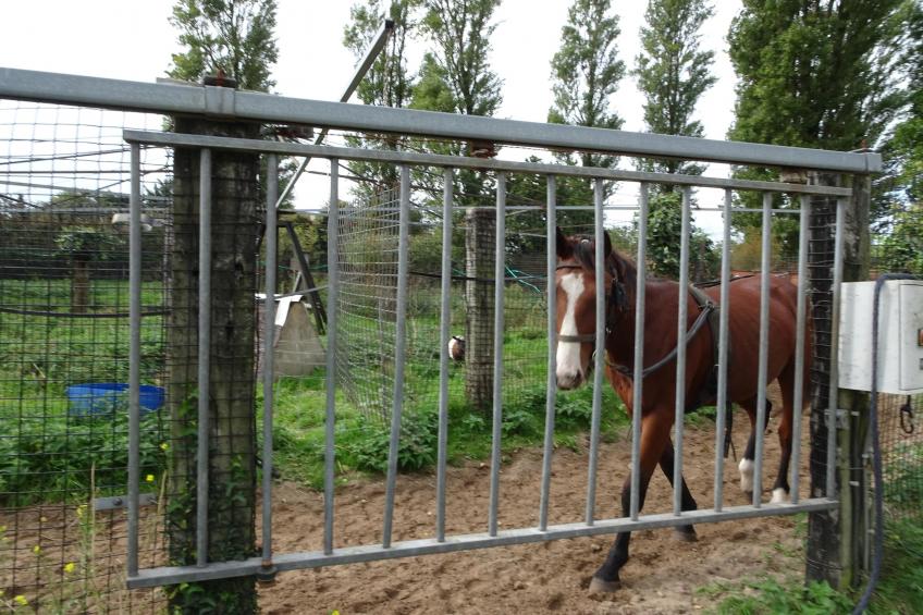 Holiday home Denneville - foto 12