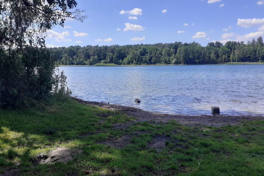 Luxus-Familienappartement / 5 Personen - foto 36