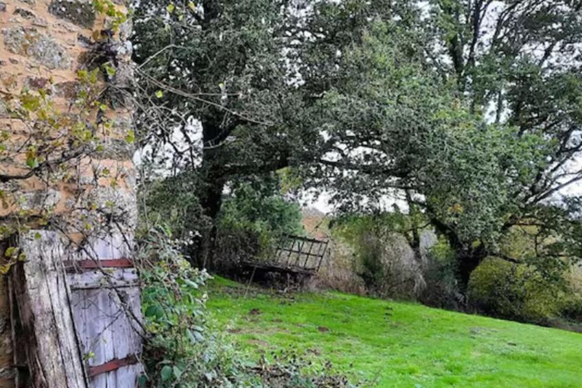 Chez Rambaud - foto 5