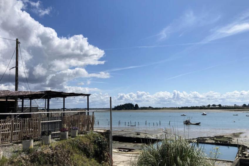 Maison à Le Tour du Parc - foto 45