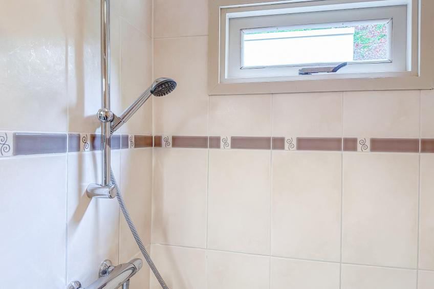 De Paradijsvogel - foto 23