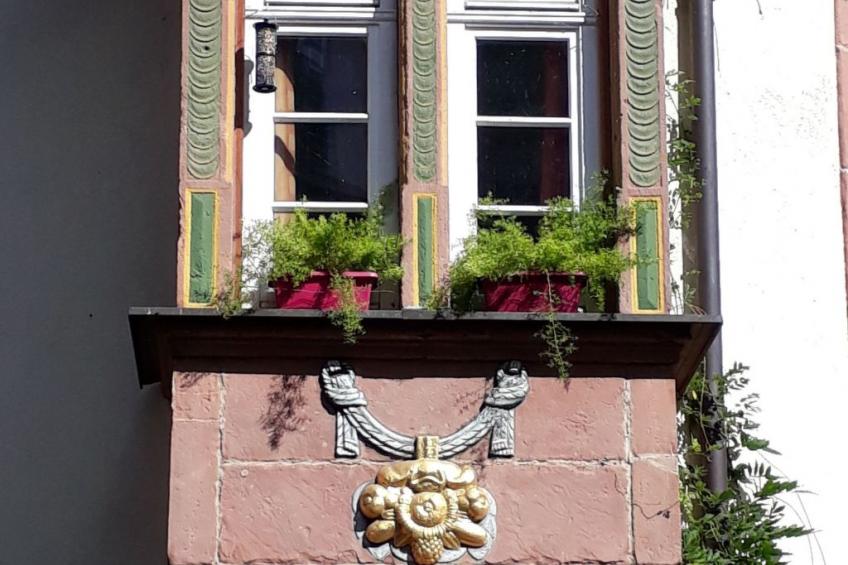 Würzgarte - foto 54