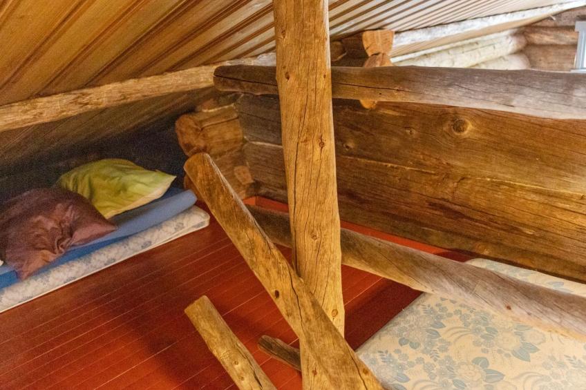 Kelopirtti - foto 14