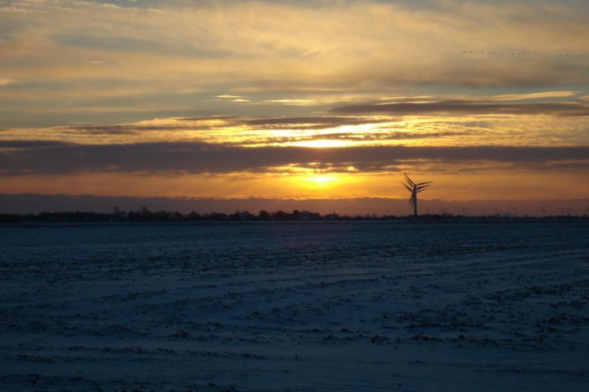 Elbe-Ferienwohnung mit Terrasse nah am Zentrum - foto 19