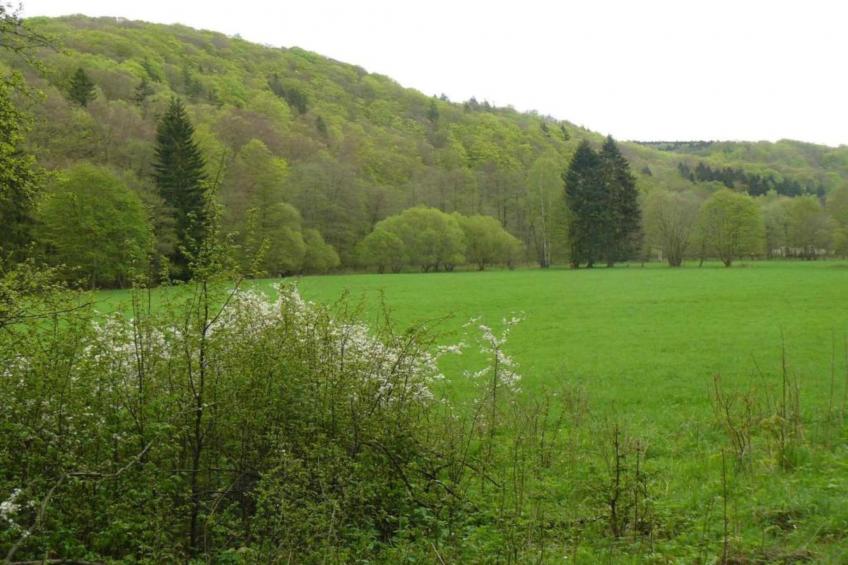 Holzhaus Andi - foto 22