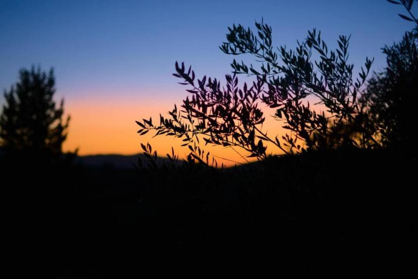 Villa Silveria - foto 37