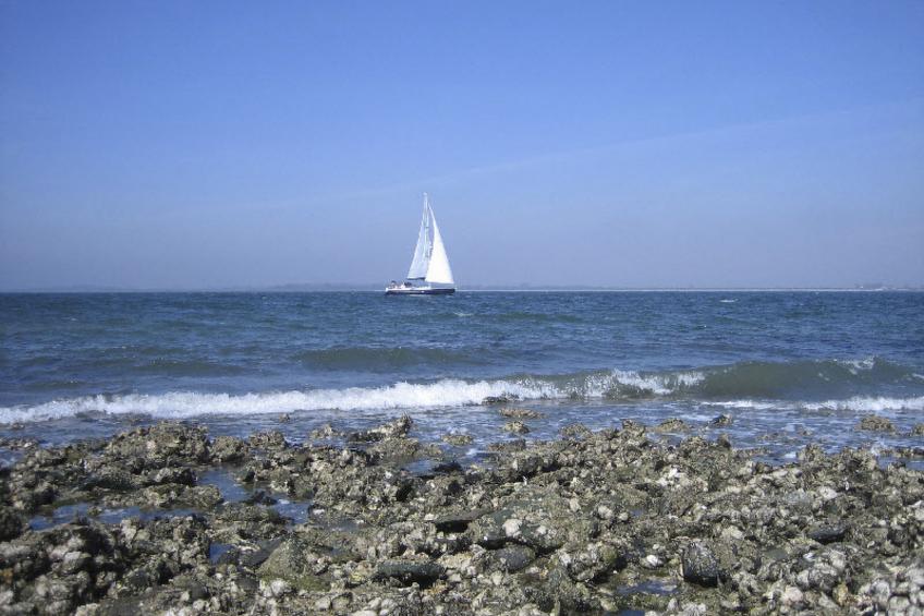 am Meer in Zeeland - foto 22