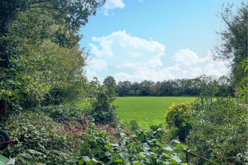 Villapark De Weerribben - foto 35