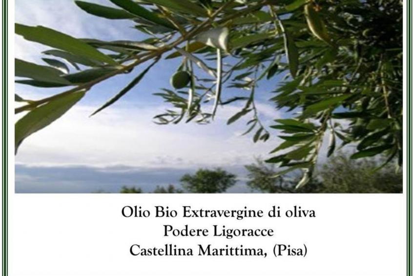 Wohnung Grecale in Castellina Marittima - foto 29