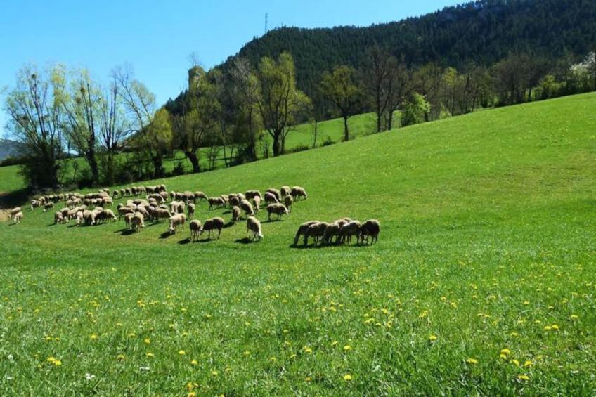 Gîte de France Gîte "la nature" 4 épis - foto 27