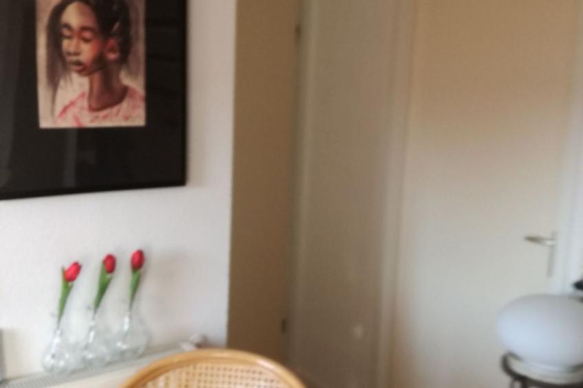 Einmalige, ruhige Ferienvilla im Grünen - foto 3