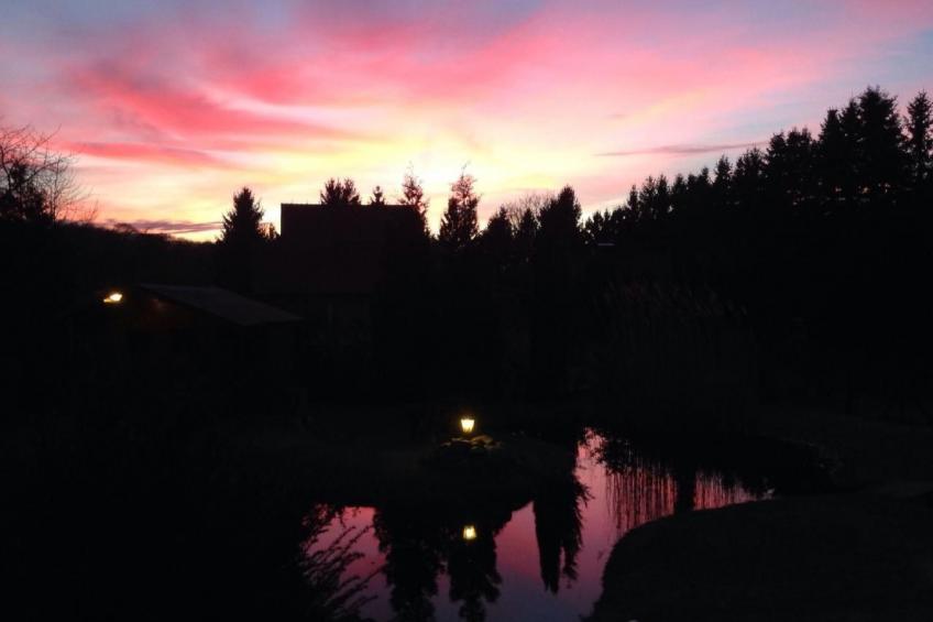 Elbe-Ilenpool -In Ruhe entspannen - foto 28