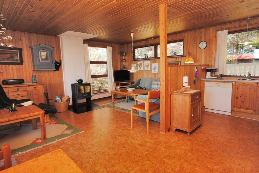 "Neven" - 900m from the sea in NW Jutland - foto 6