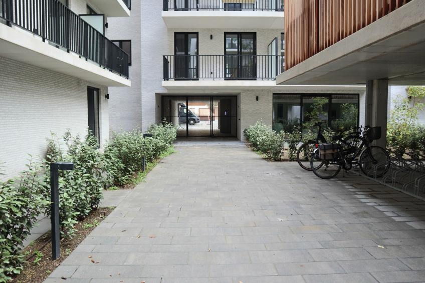 THE GREEN 0001PK - foto 22