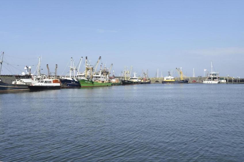 Recreatiepark Wiringherlant - foto 28