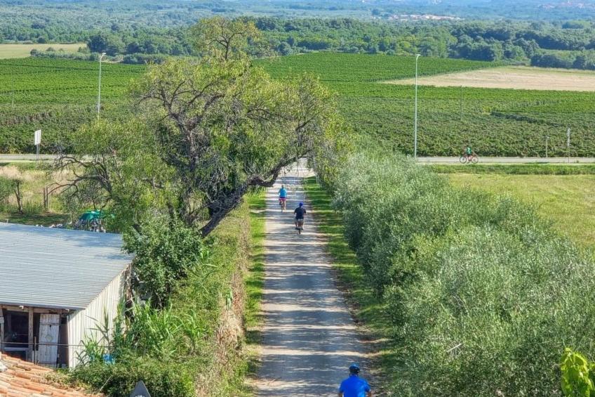 Gemütliches Studioappartement Silos Oliva - foto 15