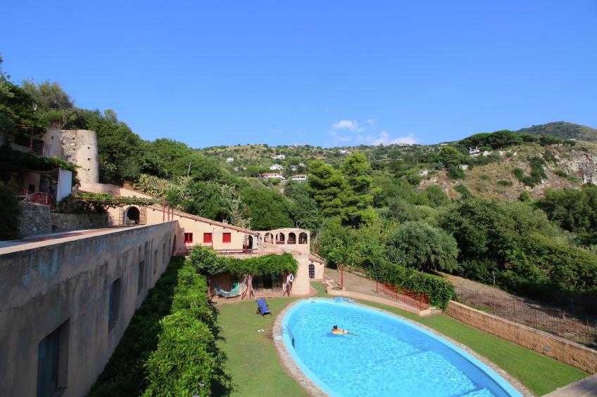 Mandorlo - foto 2