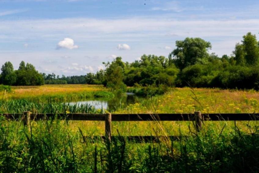 Blandinushof - foto 30