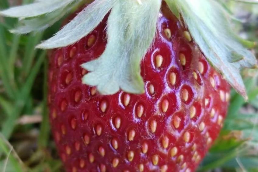 Appartement in Vordorfermühle mit Garten - foto 26