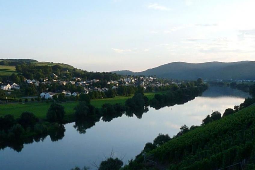Wohnung in Brauneberg mit Terrasse und Garten - foto 18