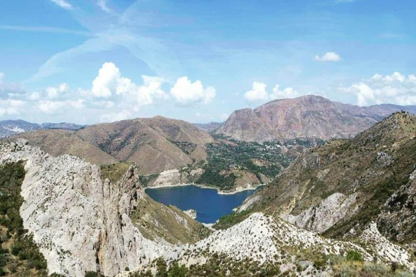 1468-Montebajo - foto 31