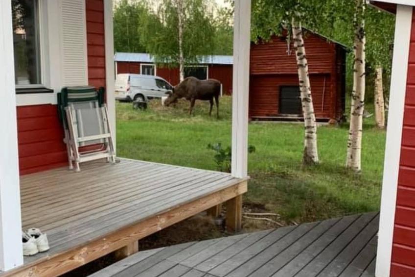 Zu vermieten in der Nähe von Jokkmokk - foto 24
