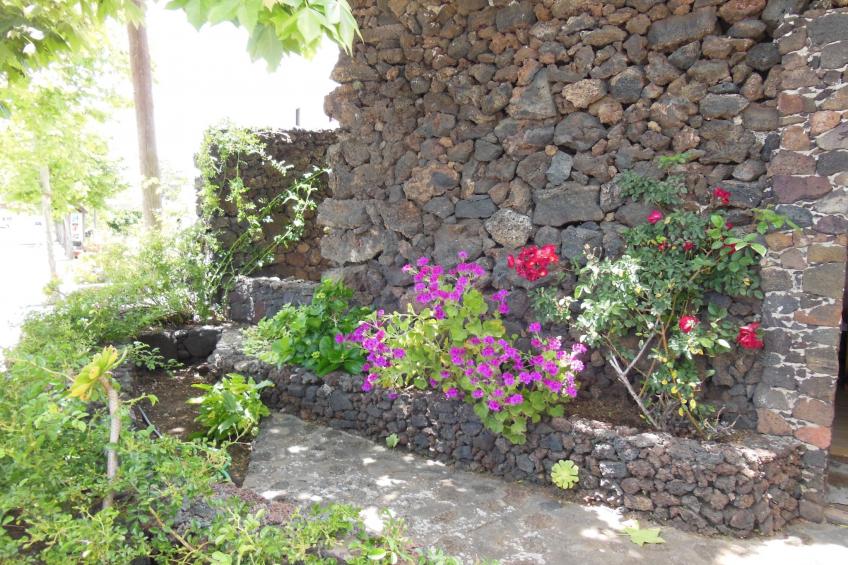 Traditionelles kanarisches Landhaus - foto 27