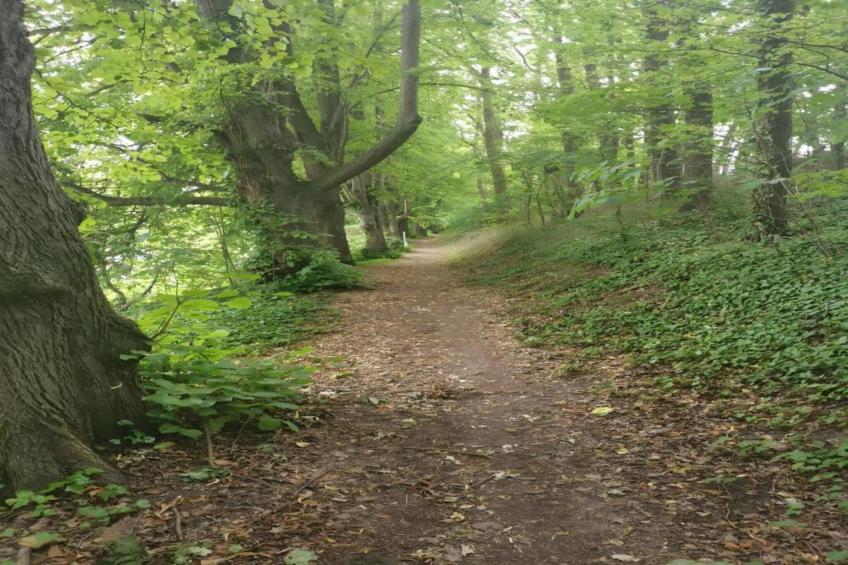 Mobilheim am Goldberger See - foto 33