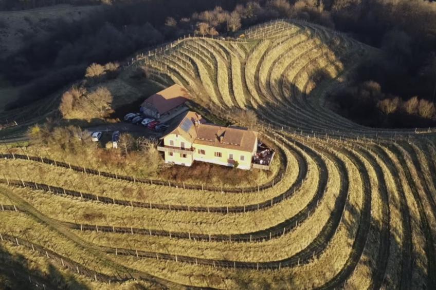 für 8 Personen  + 4 Kinder ca. 200 m² in Ptuj, Untersteiermark (Drau Slowe