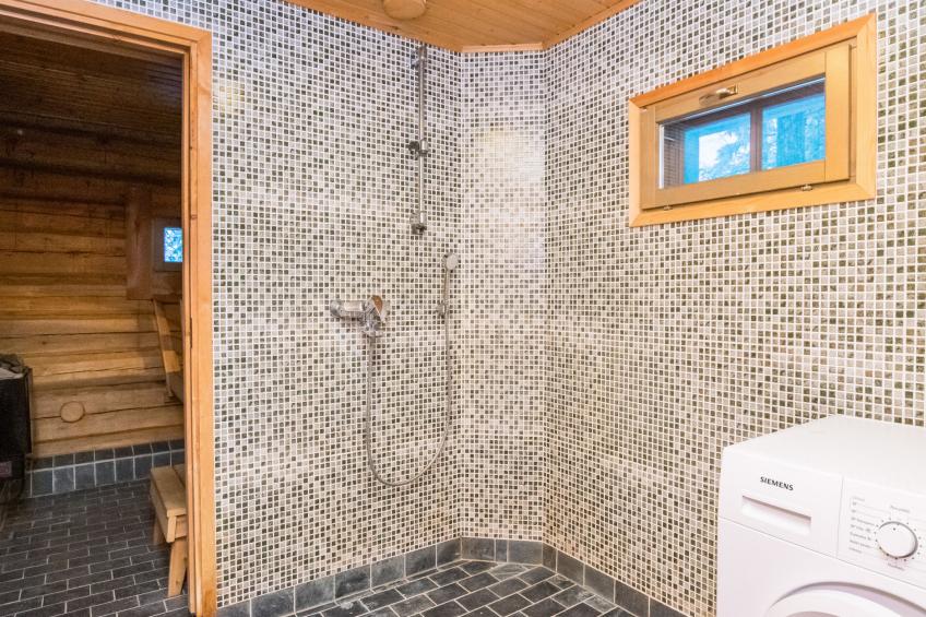 Luhtalemmikki - foto 16