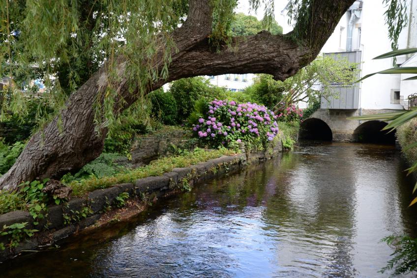 Résidence Les Rives de Pont-Aven ST2S - foto 22