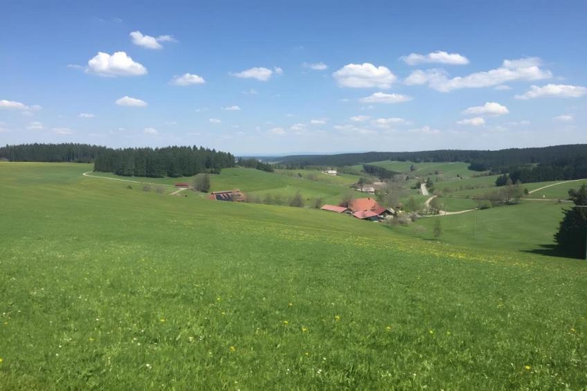 Haus Wasser - foto 30