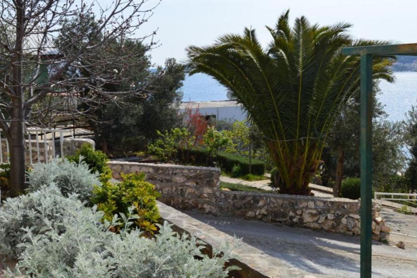 Villa Seka - Deluxe Villa with  Swimming pool and Sea View - foto 36
