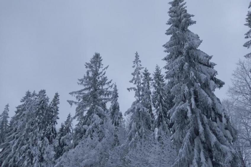 Luksusowa Willa w górach 200 m od wyciągu - foto 36