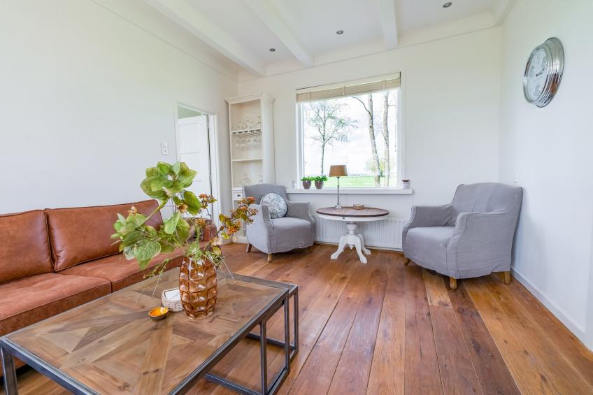 B&B boerderij GRUTSK - foto 10