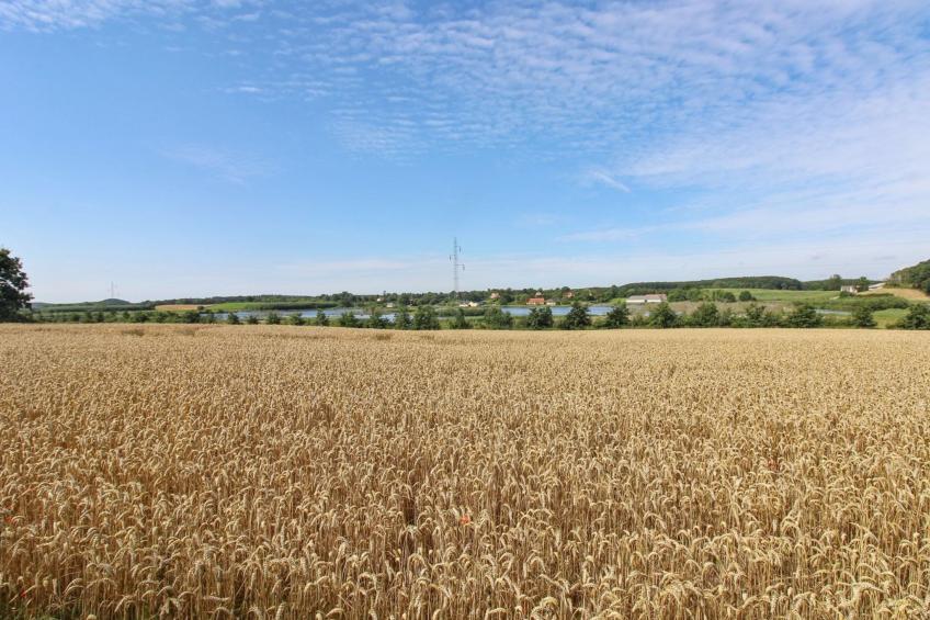 "Kundry" - 800m from the sea in Funen - foto 18
