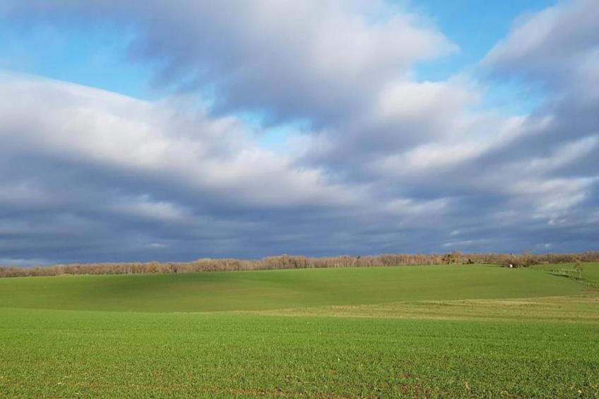 Maison de vacances - NETTANCOURT - foto 37
