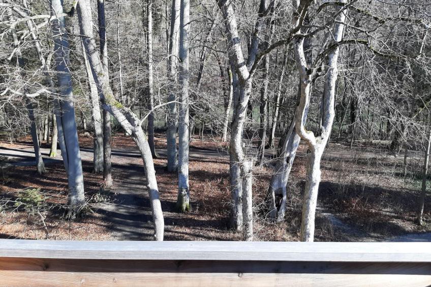 Lechrauschen Landsberg - foto 6