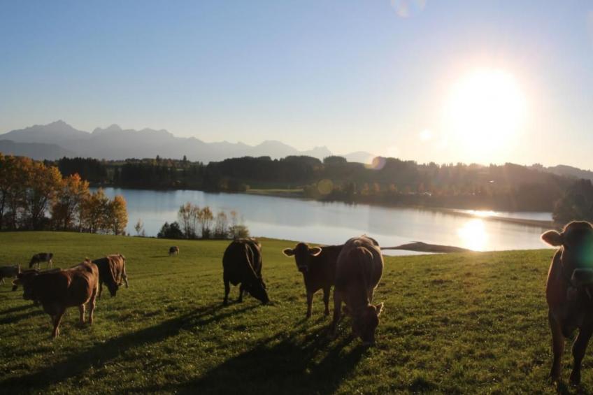 mit Blick auf das Wasser - foto 76