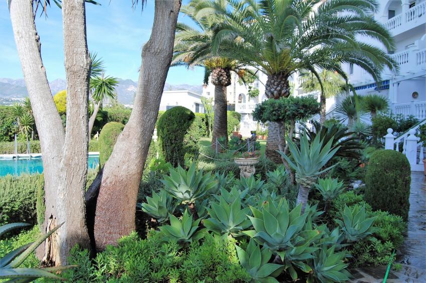 Stella Maris Beachfront 1A by Casasol - foto 24