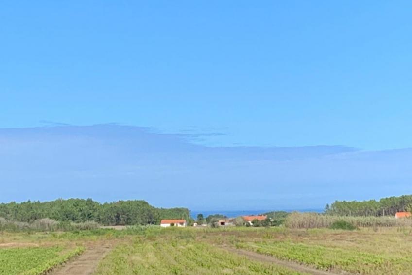 Haus Bamboo in Odeceixe mit ruhiger Terrasse - foto 18