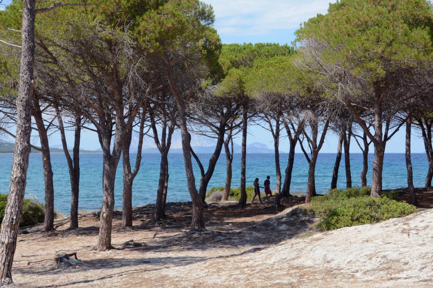 Le Dimore di Budoni Trilocale - foto 20