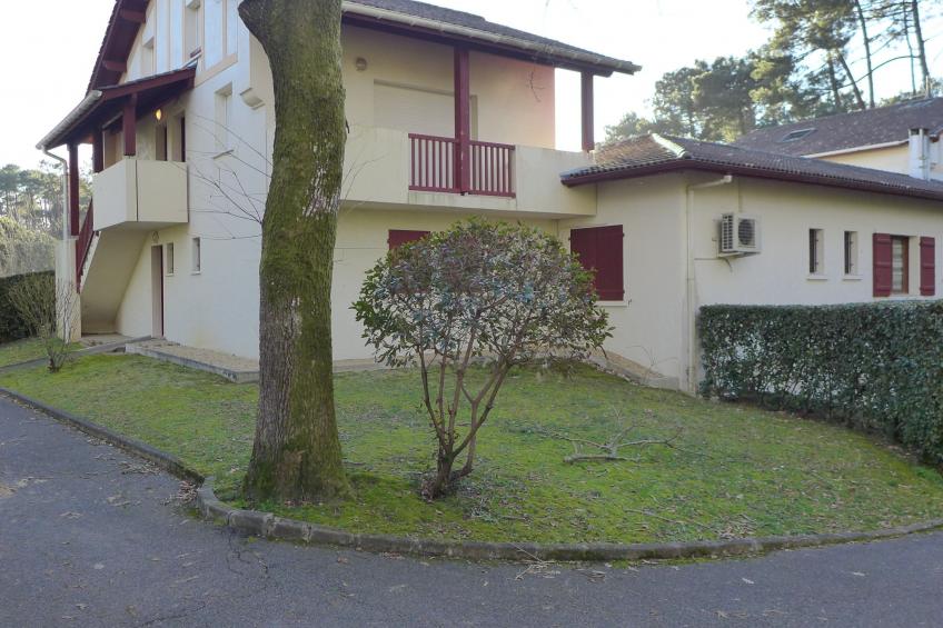 Les écureuils - foto 15