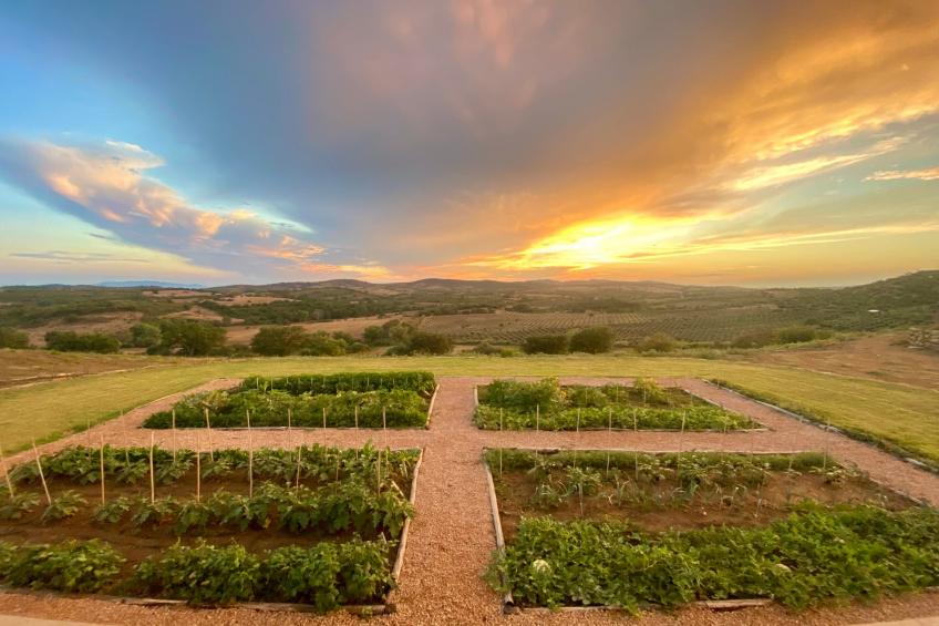 Maniero in Maremma - foto 49