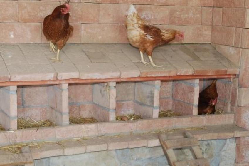 "Cal Serveró." mit Terrasse - foto 16