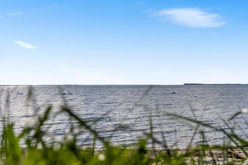 "Ørn" - 5m from the sea - foto 25