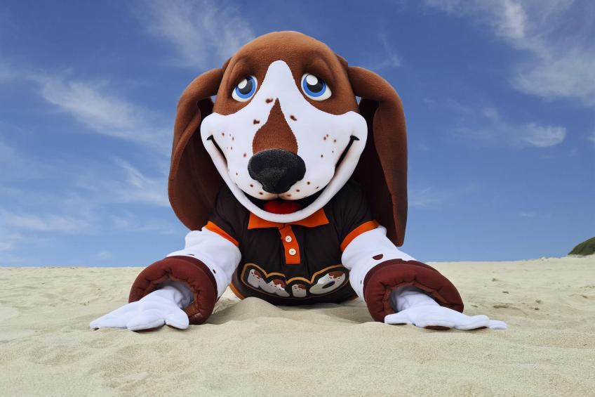 Berck sur Mer 12 - foto 7