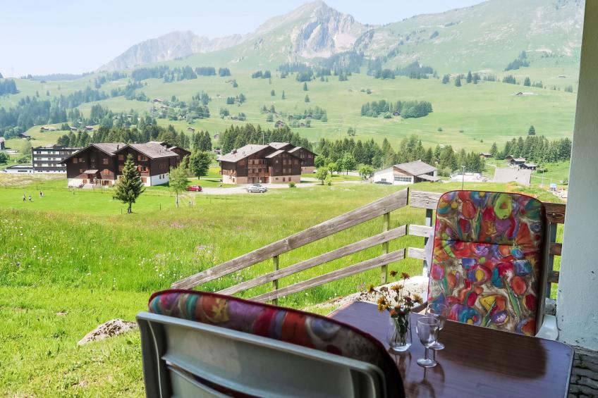 Les Bluets - foto 16