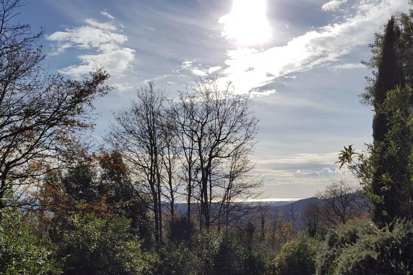 Wohnung 'Eichhörnchen' mit Schwimmbad - foto 30