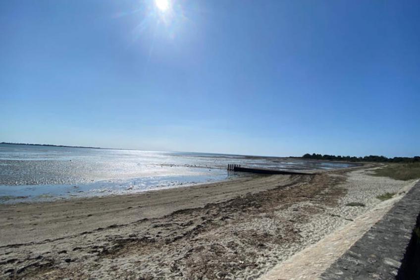 Maison à Le Tour du Parc - foto 20